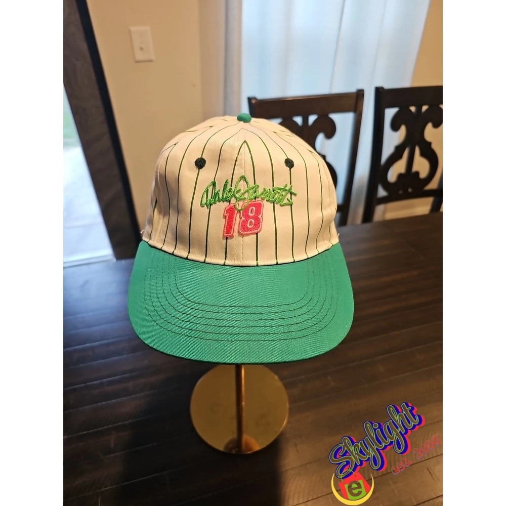 Cameo Rare Vtg NASCAR Dale Jarrett‎ 18 Snapback Embroidered Hat Cap Pin Stripe